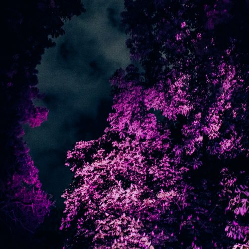 ART by Studio Philipp Ross, KLANGLICHT 2017 © Lupi Spuma