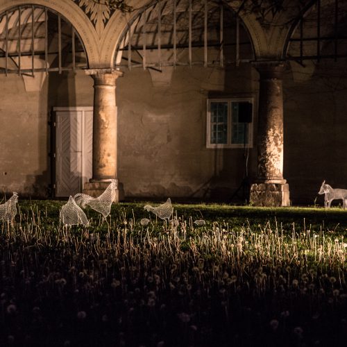 Domestic and Wild by Katja Paternoster, KLANGLICHT 2017 © Alexander Koch