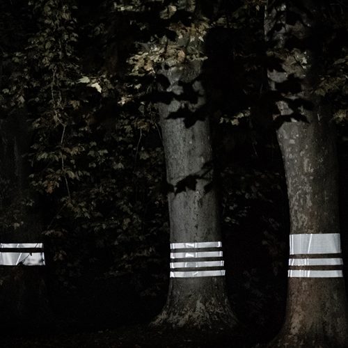 beyond that von Brigitte Kowanz