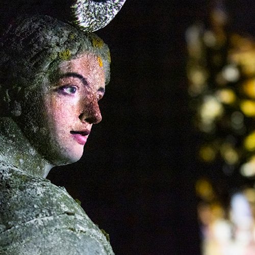 feminitiv von Michael Bacherhofer, Karl Wratschko und Karin Watabe-Wolfger