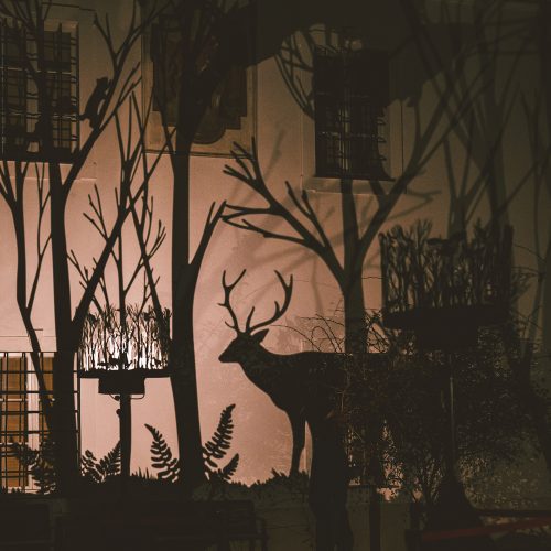 Nocturne