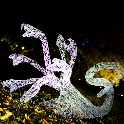 Wundertiere von Katja Paternoster