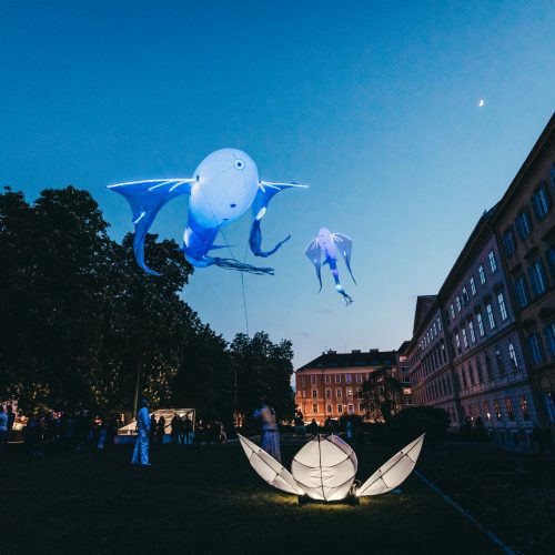 Les Luminèoles by Porte par le Vent (c) Lupi Spuma for Klanglicht 2017