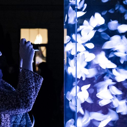 Njörd Spirit of the Wind by WciP (c) Julian Koch for Klanglicht 2016