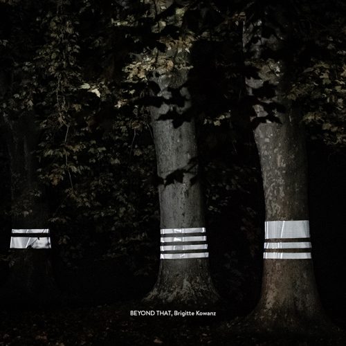 beyond that von Brigitte Kowanz