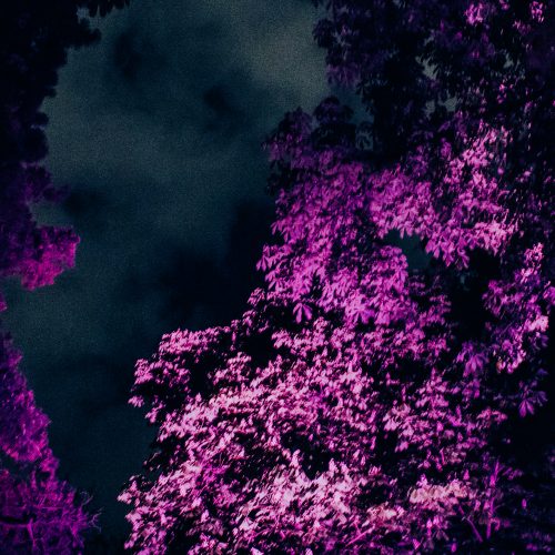 ART by Studio Philipp Ross, KLANGLICHT 2017 © Lupi Spuma