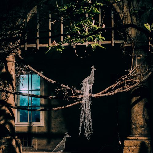 Domestic and Wild von Katja Paternoster bei KLANGLICHT 2017 (c) Lupi Spuma