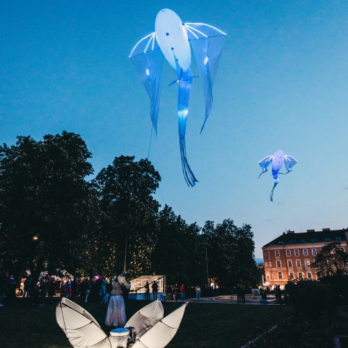 Les Luminéoles by Porté par le Vent, KLANGLICHT 2017 © Lupi Spuma