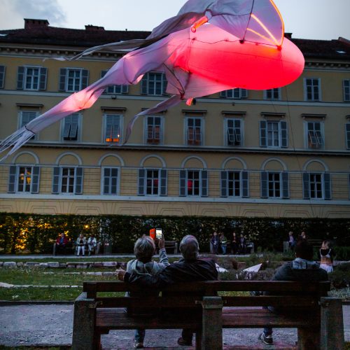 Les Lumineoles by Porte par le Vent (c) Alex Koch for Klanglicht 2019 0004