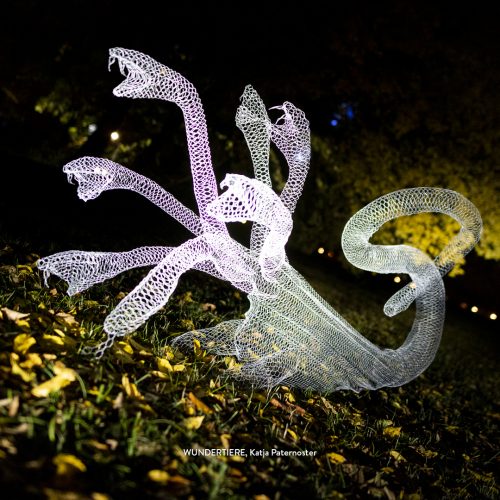 Wundertiere von Katja Paternoster