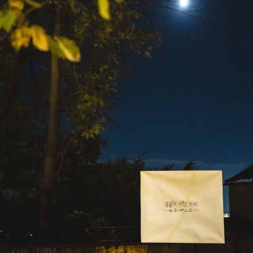 Symphony of Encounters by Rupert Huber_(c)AlexanderKoch_DSC9767