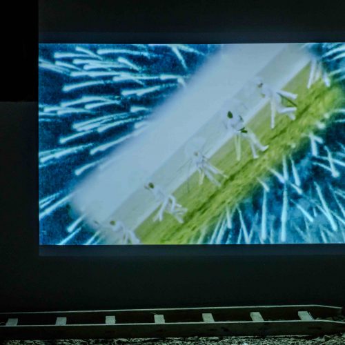 Tactile Memories by Raphaela Riepl© Kanizaj Marija M. for Klanglicht 2023_-1016