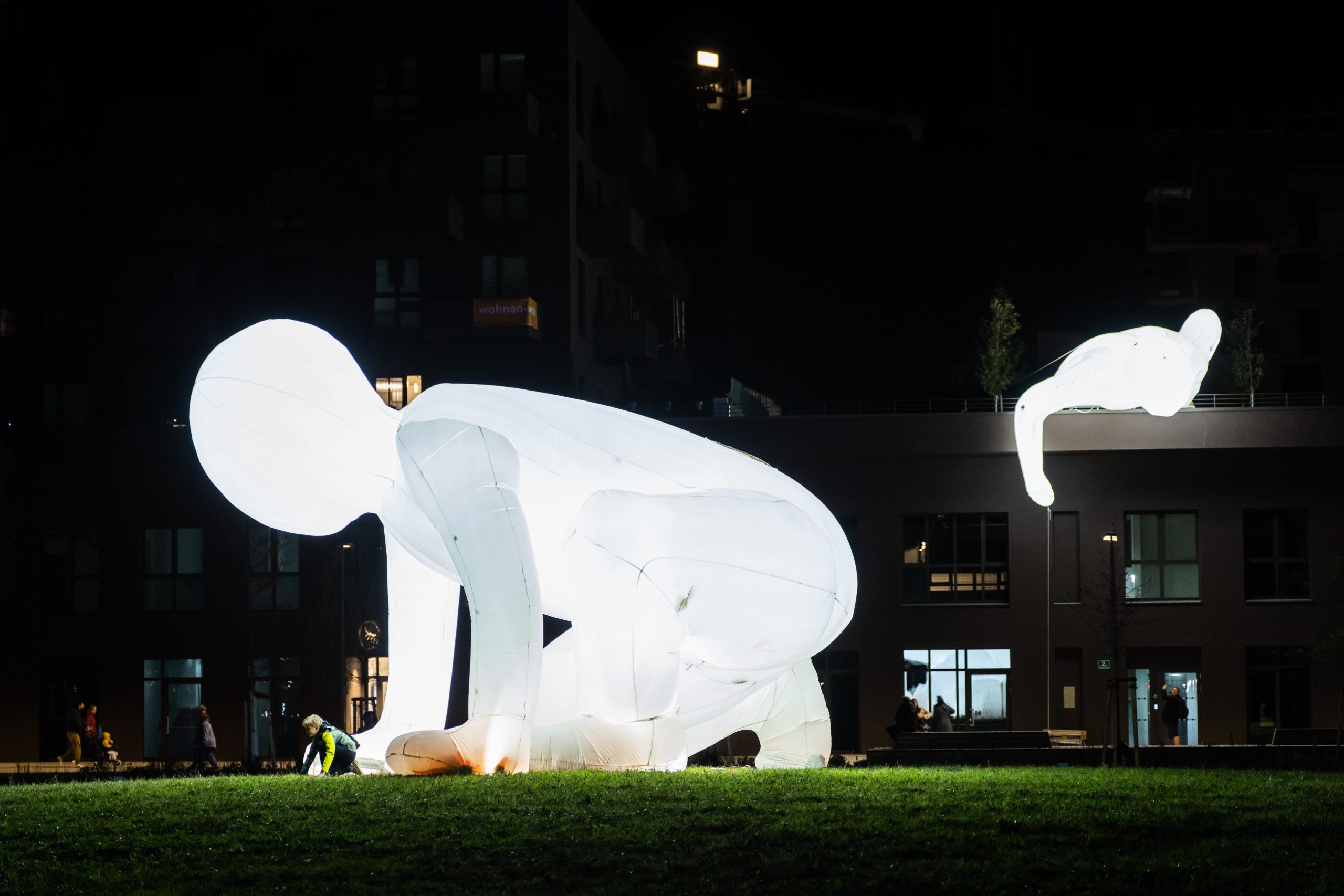 2022 Fantastic Planet by Amanda Parer (c) Alex Koch 1