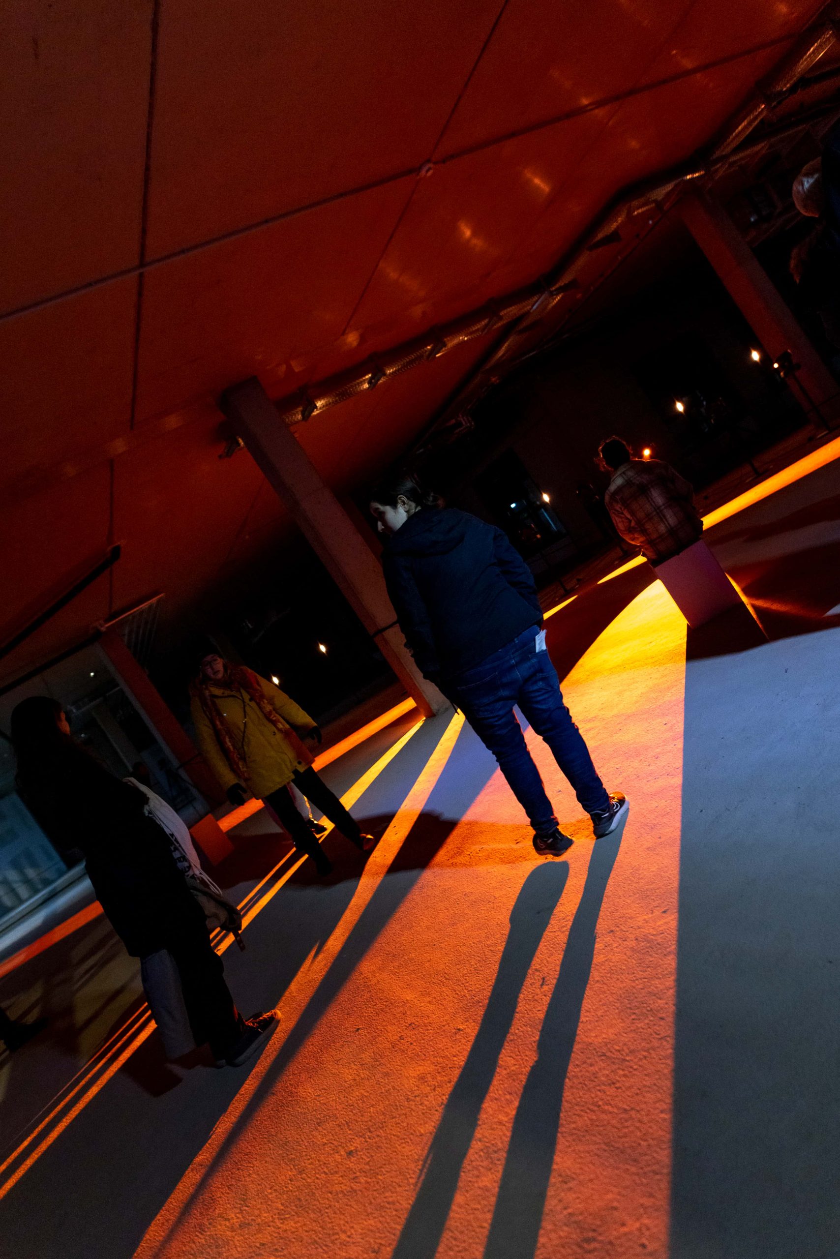 2022 Growth by FH Joanneum IDK (c) Marija Kanizaj 4