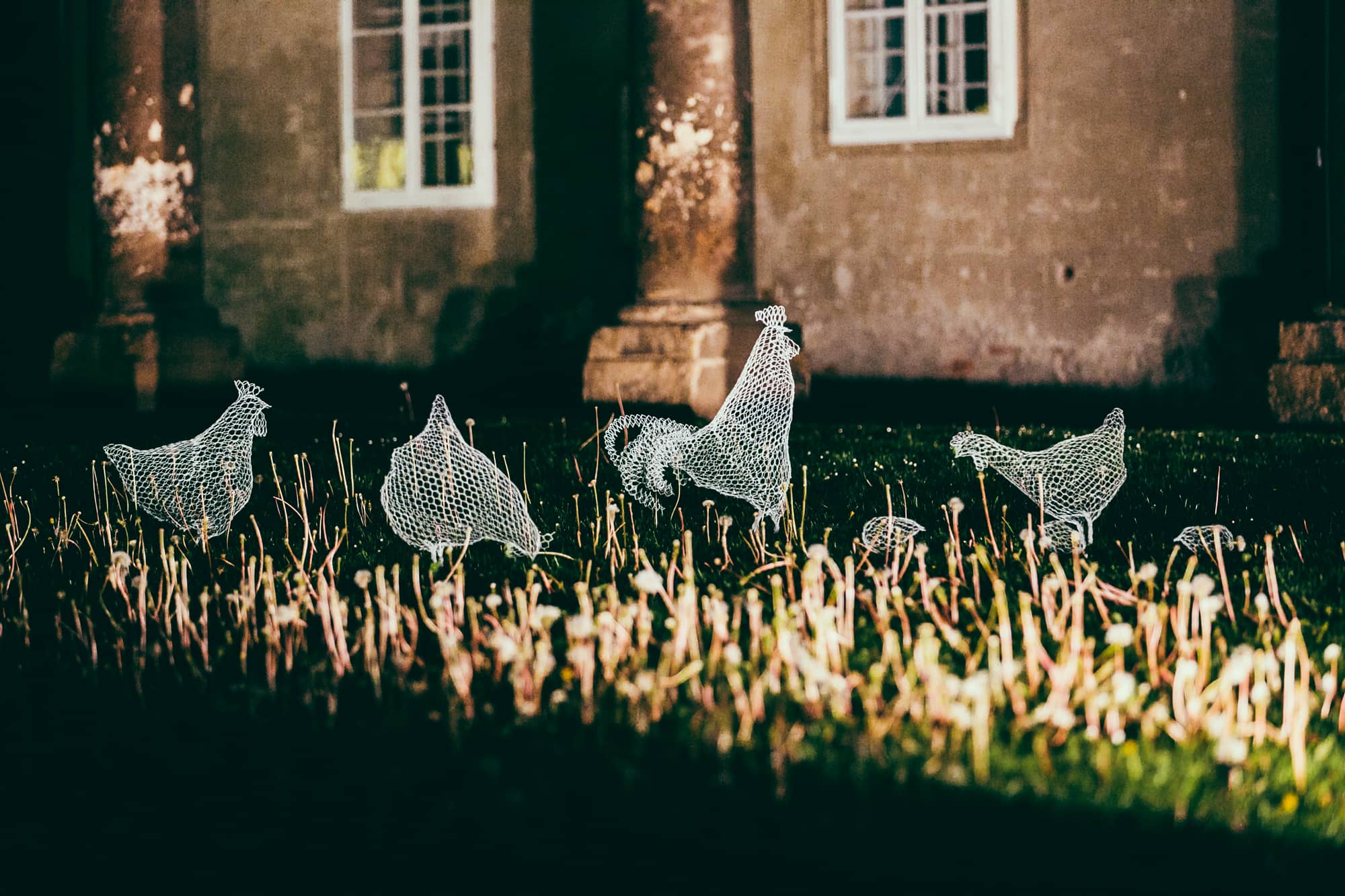 2017 Domestic and Wild by Katja Paternoster (c) Lupi Spuma 4