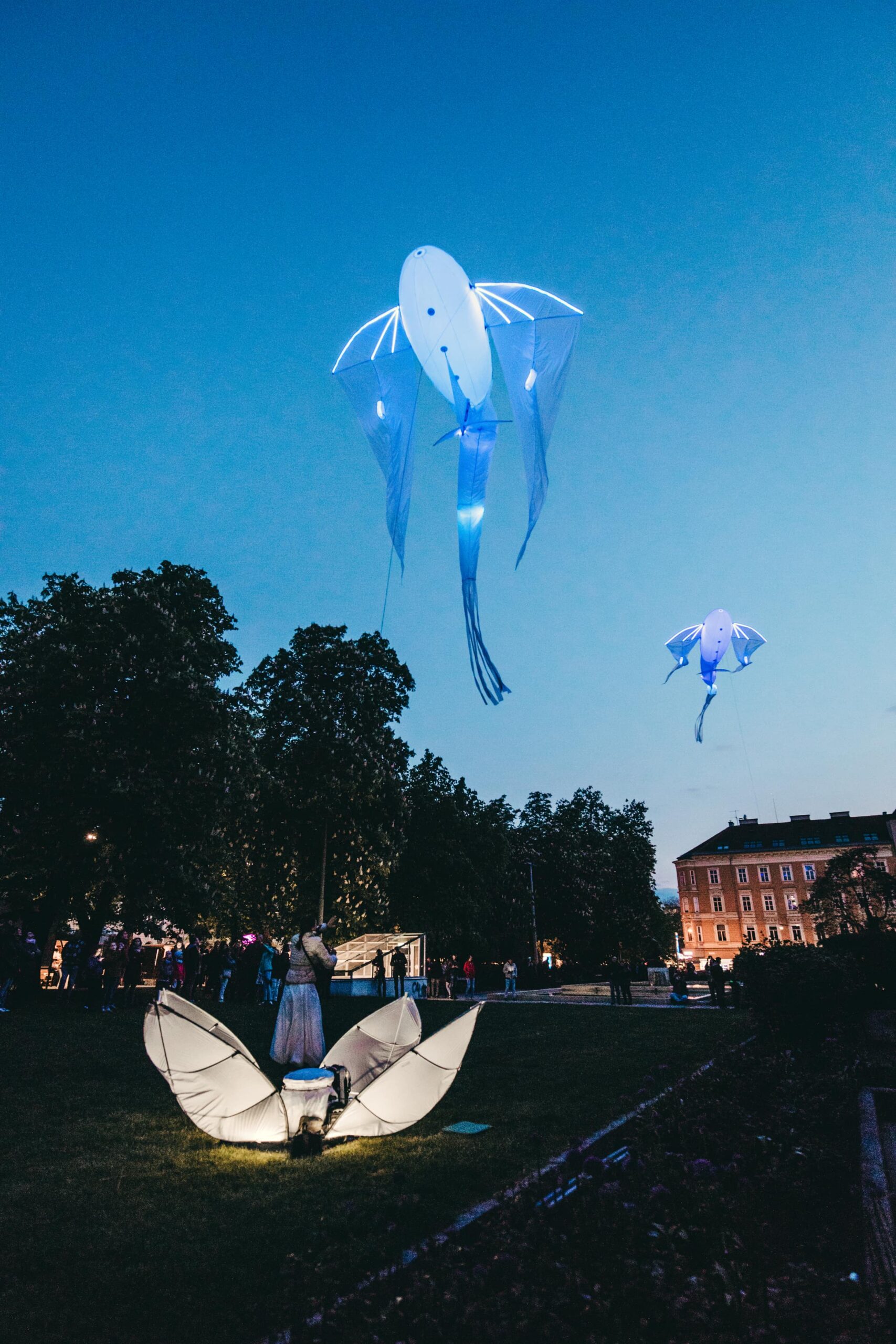 2017 Les Lumineoles by Porte par le Vent (c) Lupi Spuma 1