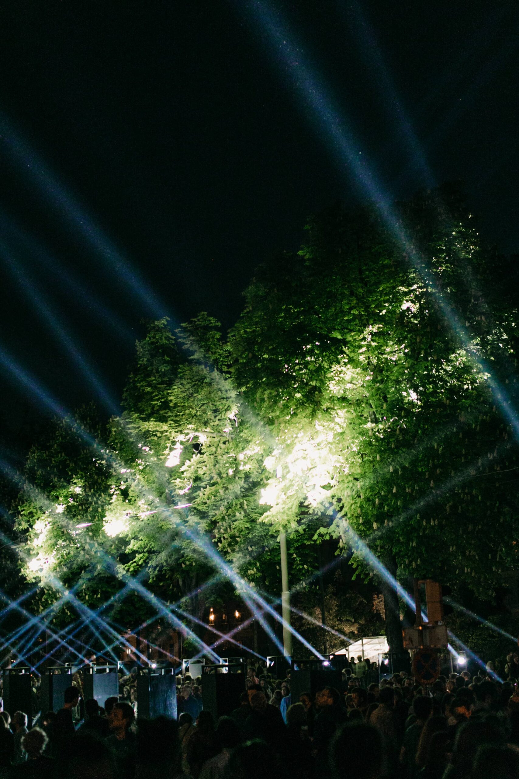 2018 Lumiere Tango by Wouter Brave (c) Lupi Spuma 1