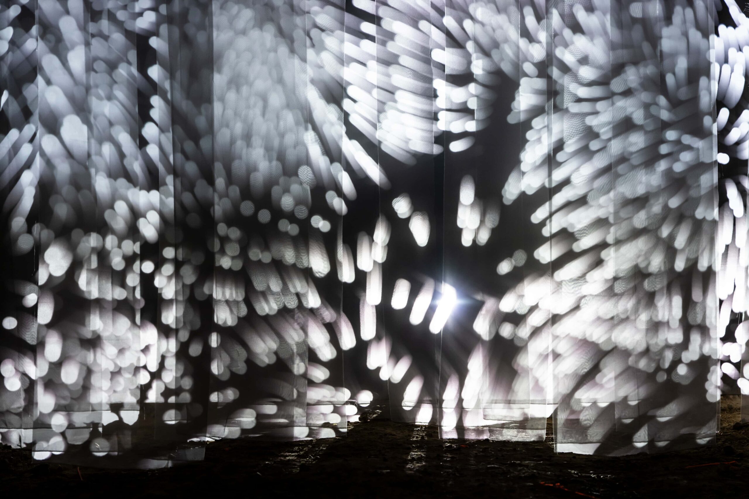 2025 Let go by Konstantin Postl, Mattia Fiacco Mazzini, Xaver Rath (c) Marija Kanizaj 3