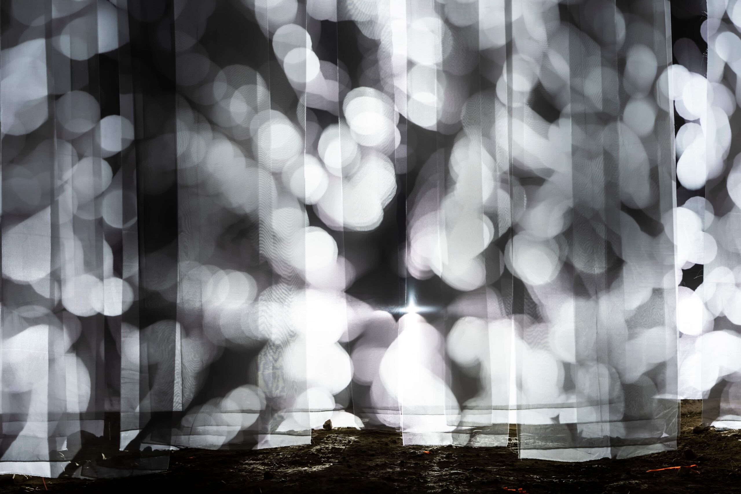 2025 Let go by Konstantin Postl, Mattia Fiacco Mazzini, Xaver Rath (c) Marija Kanizaj 1