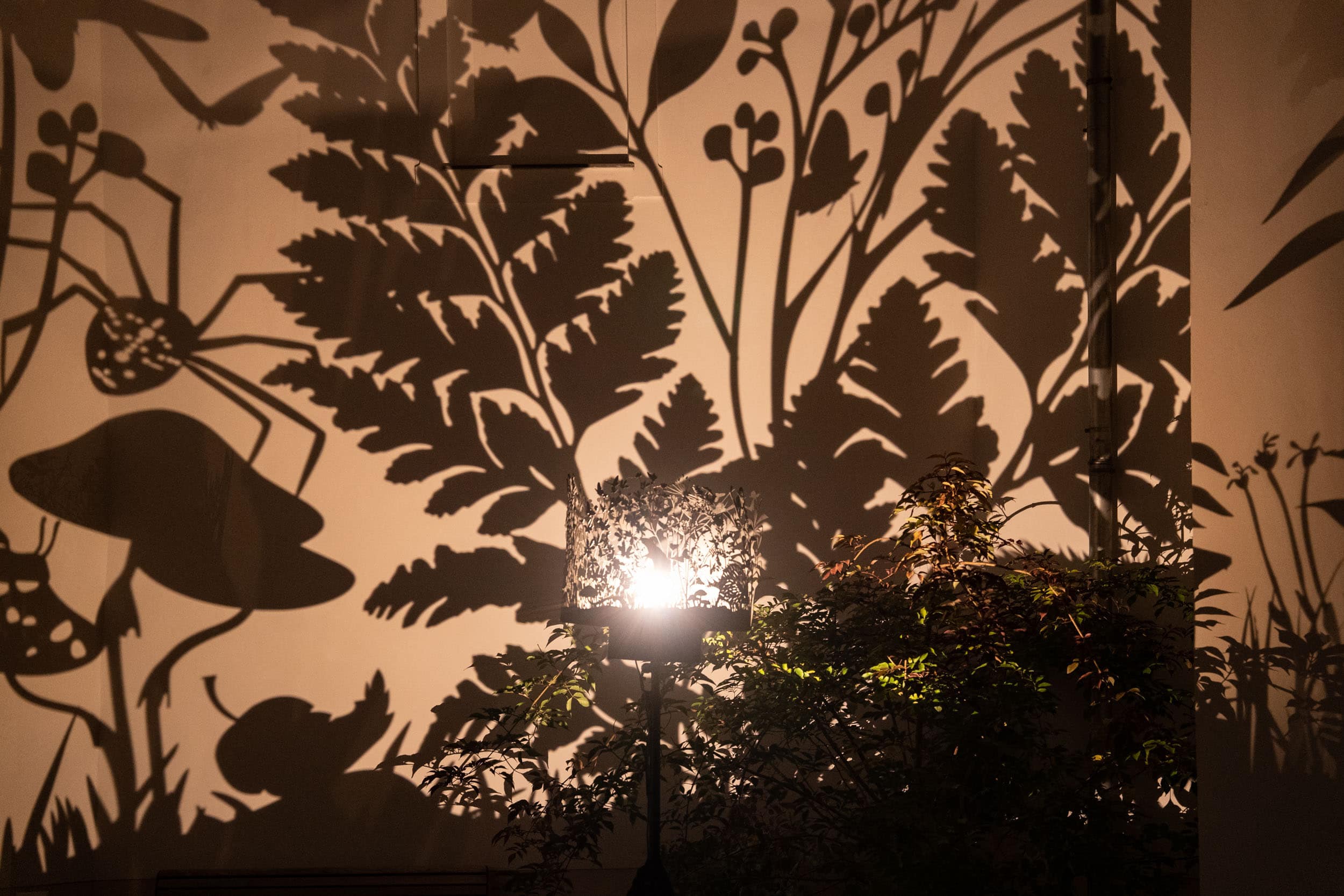 2022 Nocturne by Julia Dantonnet & Shantidas Riedacker (c) Mathias Kniepeiss 5