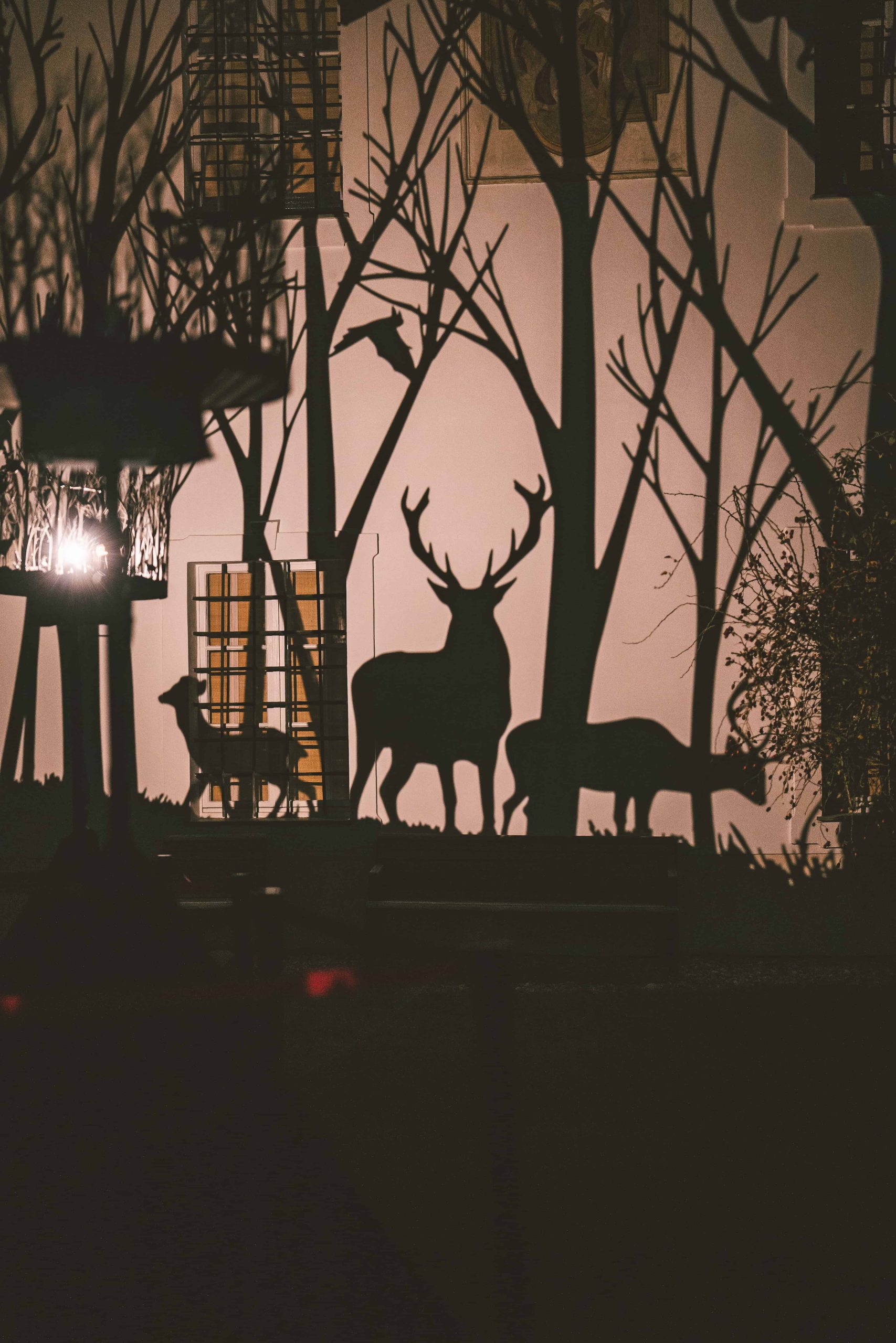 2022 Nocturne by Julia Dantonnet & Shantidas Riedacker (c) Luke Goodlife 2