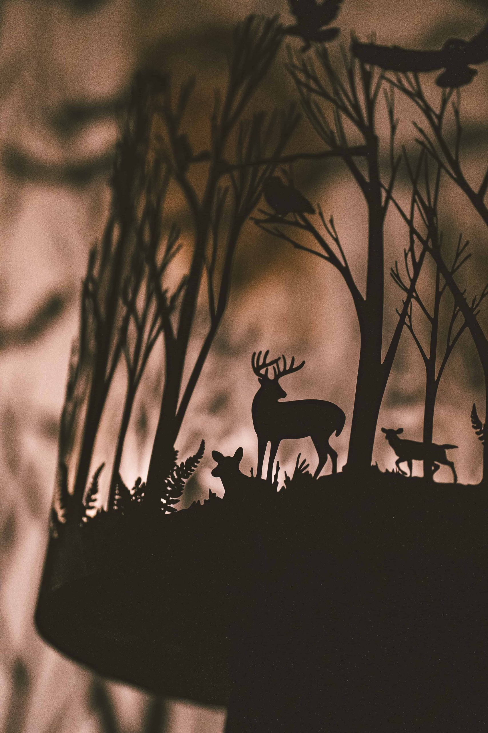 2022 Nocturne by Julia Dantonnet & Shantidas Riedacker (c) Luke Goodlife 1