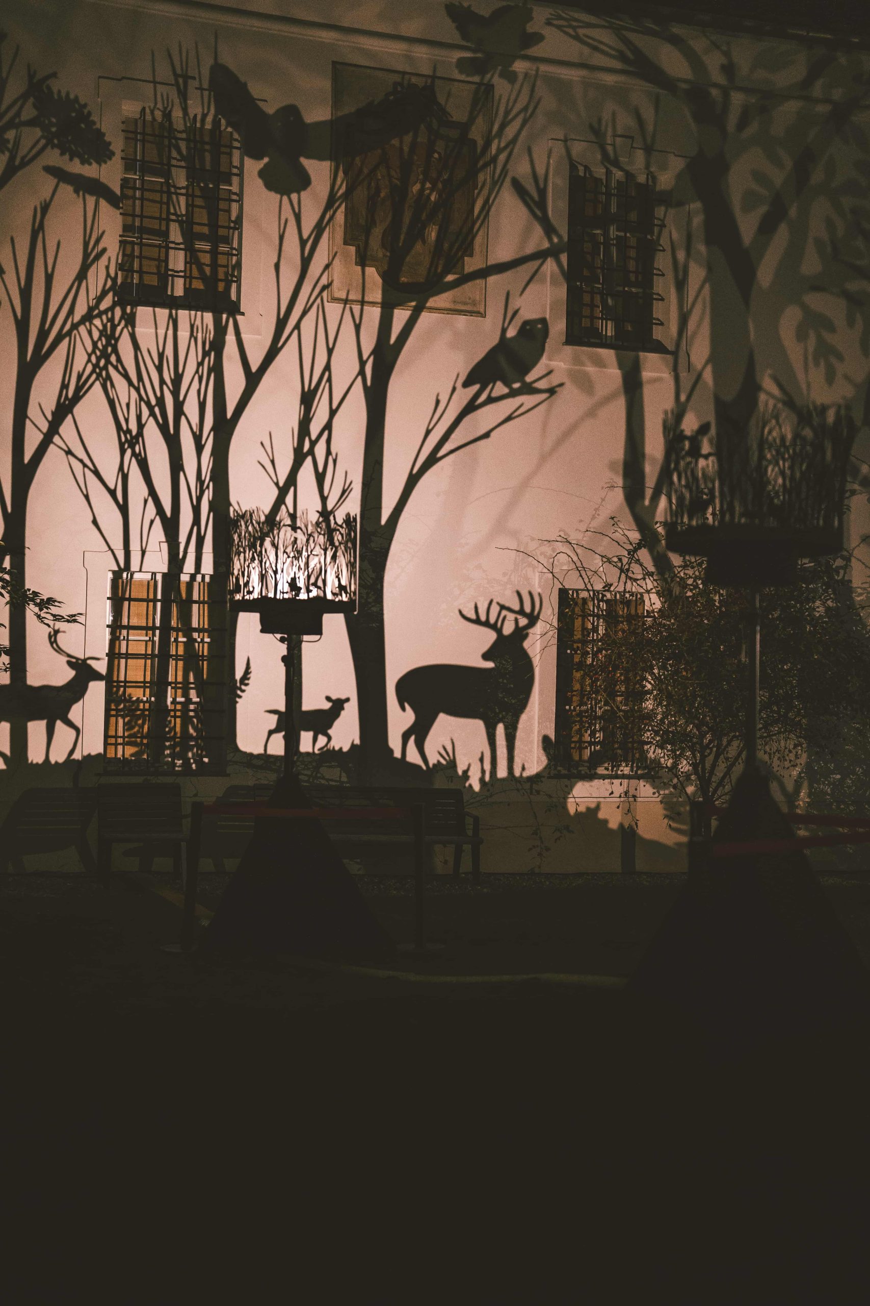 2022 Nocturne by Julia Dantonnet & Shantidas Riedacker (c) Luke Goodlife 4