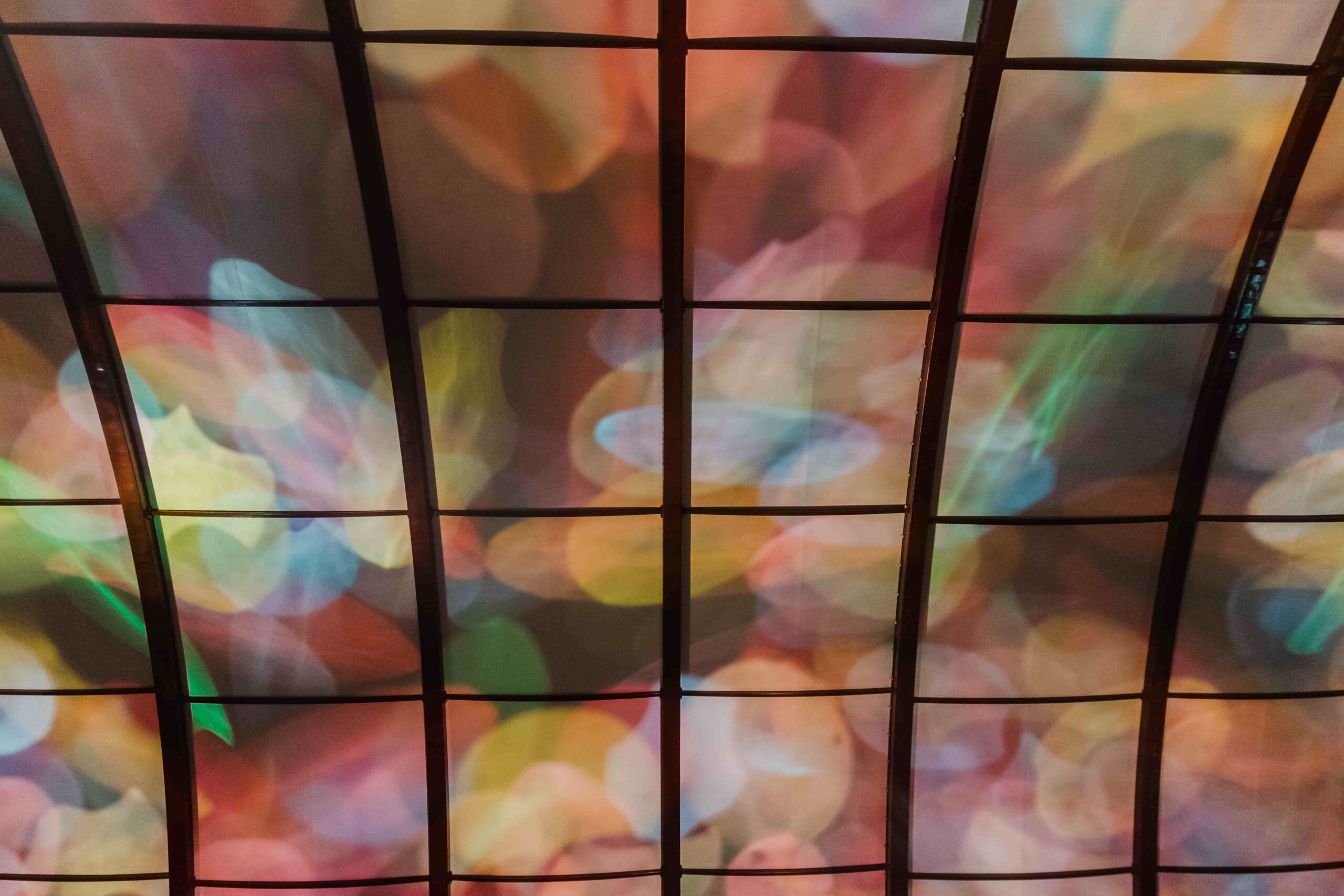 2025 Our Colour Reflection by Liz West (c) Luke Goodlife 5