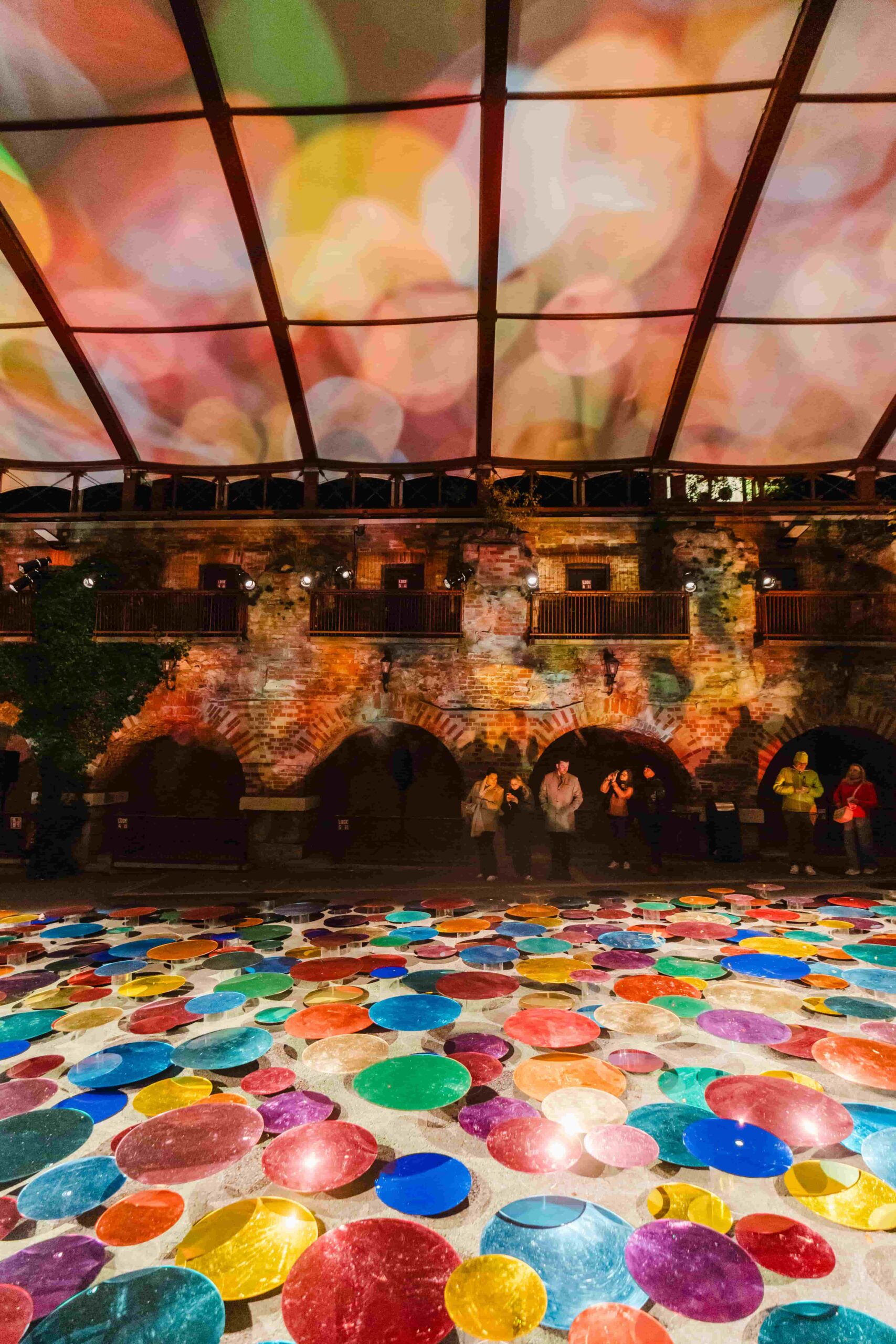 2025 Our Colour Reflection by Liz West (c) Luke Goodlife 6