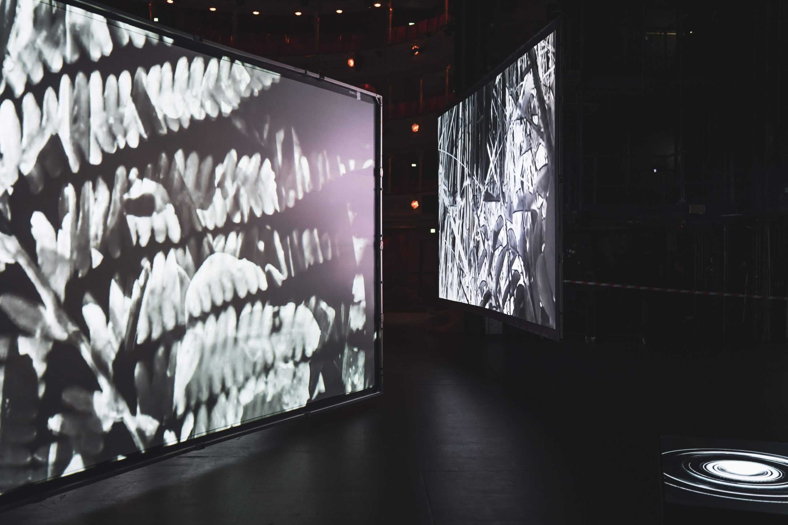 2024 REM by Gudrun Barenbrock (c) Alex Koch 3