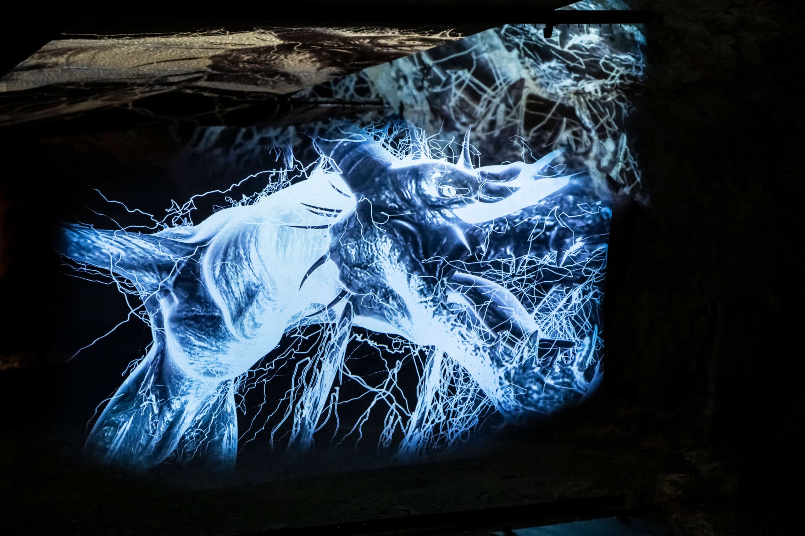 2025 The Dragon's Cave by Joschua Hohenbrink (c) Marija Kanizaj 2