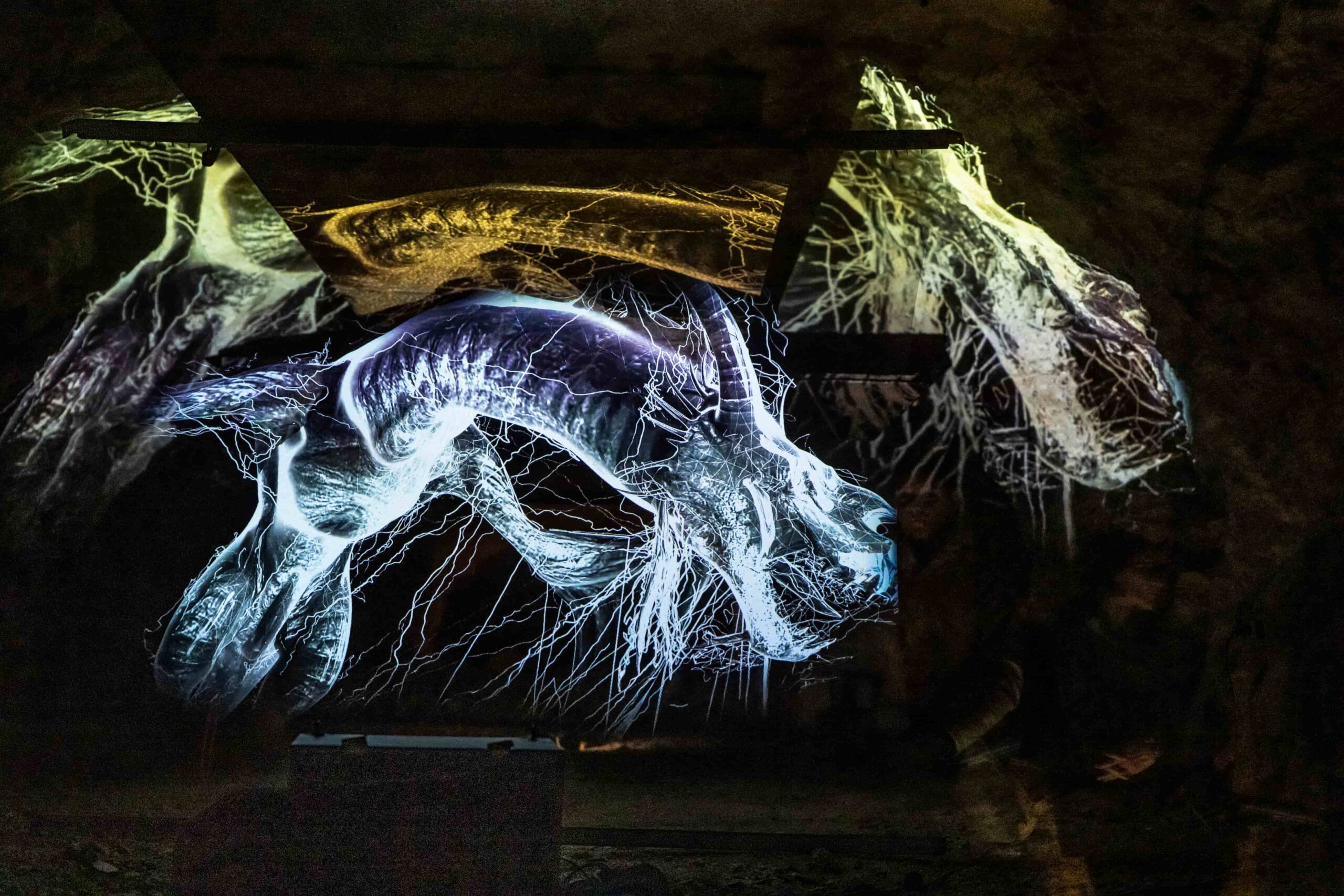 2025 The Dragon's Cave by Joschua Hohenbrink (c) Marija Kanizaj 1