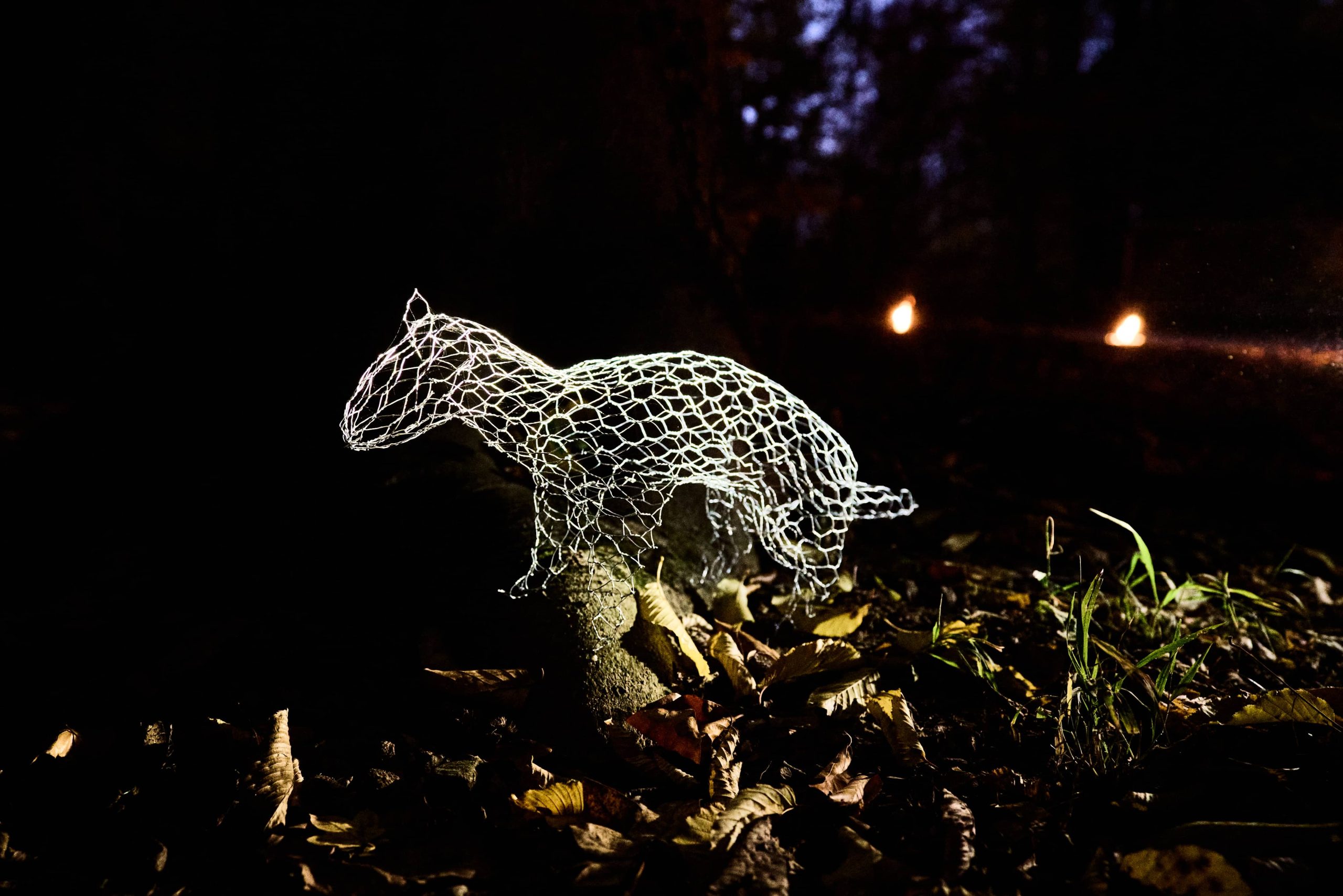 2021 Wundertiere by Katja Paternoster (c) Christian Thiess 2