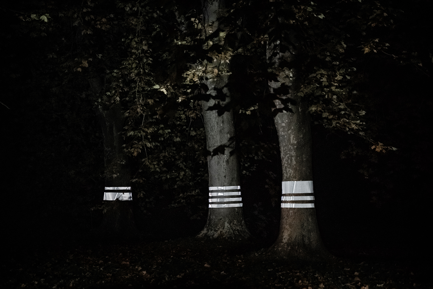2021 Beyond That by Brigitte Kowanz (c) Alex Koch 1