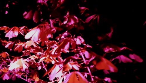 ART by Studio Philipp Ross, KLANGLICHT 2017 © Lupi Spuma (2)