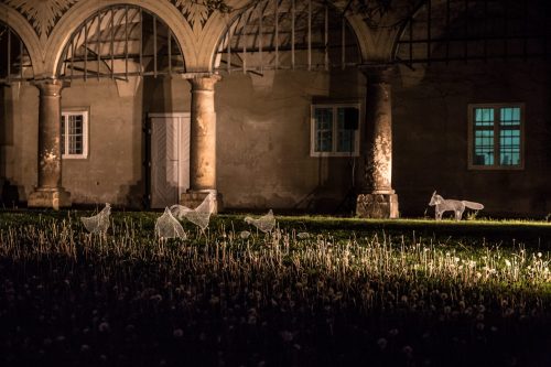 Domestic and Wild by Katja Paternoster, KLANGLICHT 2017 © Alexander Koch-119