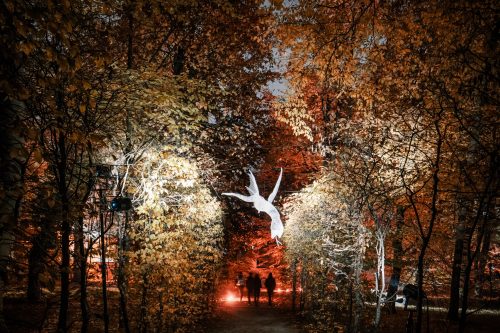 Wundertiere by Katja Paternoster (c) Alex Koch for Klanglicht 2021_DSC0439_038